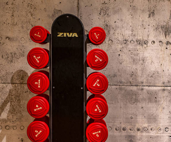 The Weight Case in the Gym